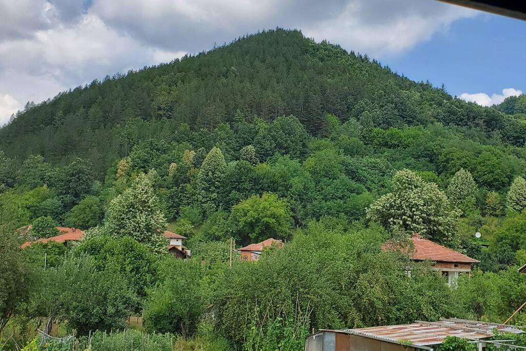 Beli OsŭmДвете Къщи В Планината别墅 外观 照片